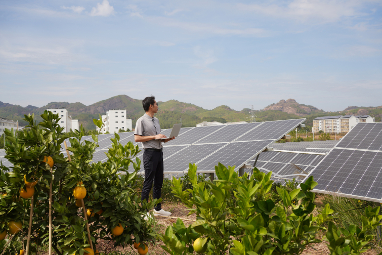 Engineer working with laptop in front of solar panels